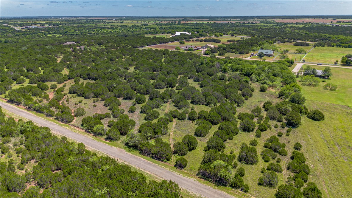 5029 Horseshoe Drive, Whitney, Texas image 6