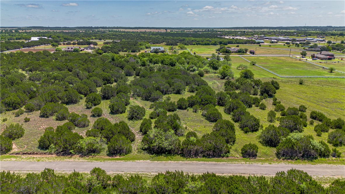 5029 Horseshoe Drive, Whitney, Texas image 2