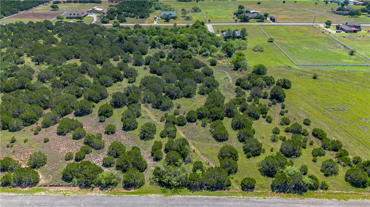 5029 Horseshoe Drive, Whitney, Texas image 3