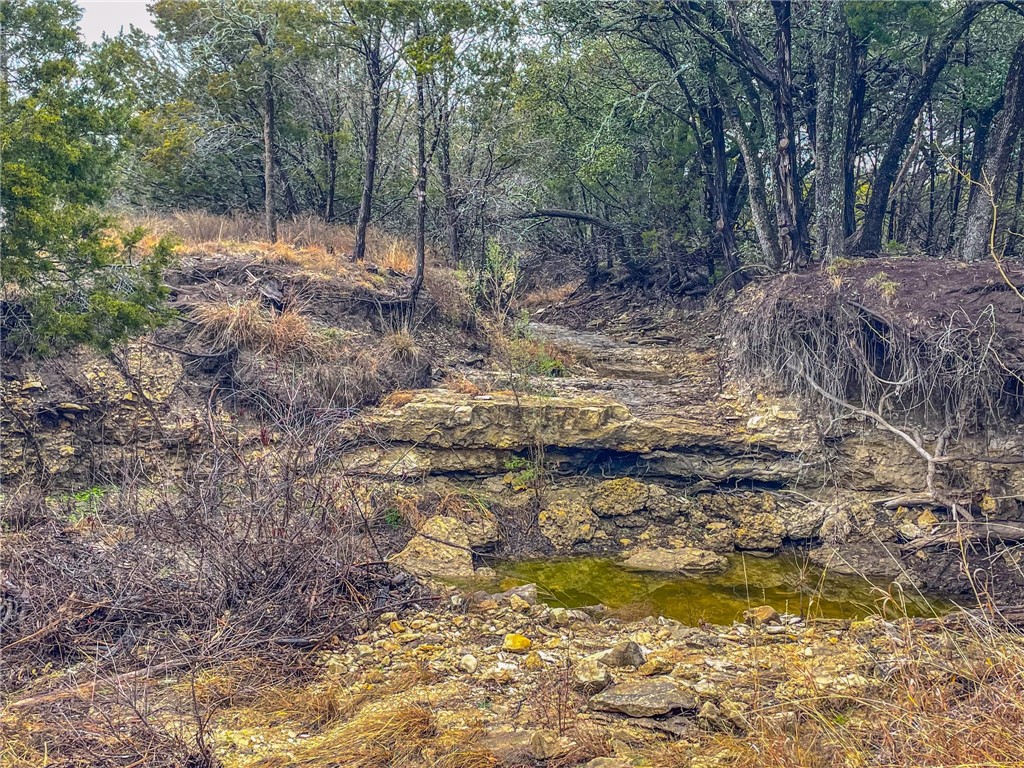 UNK Cr 421 Road, Evant, Texas image 4