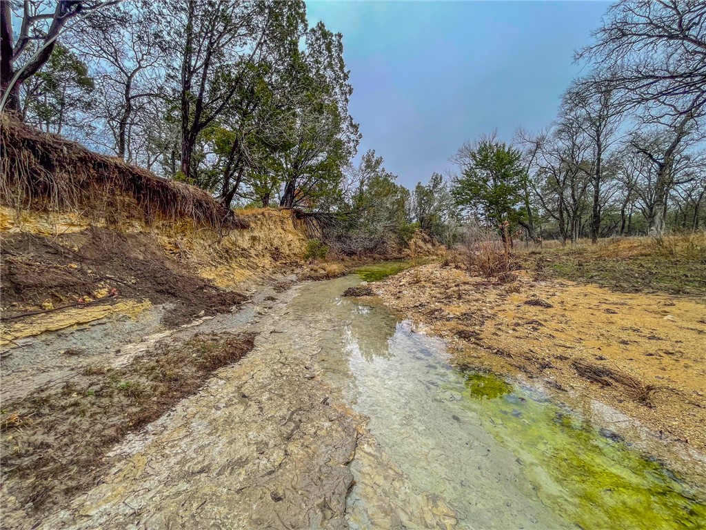 UNK Cr 421 Road, Evant, Texas image 7