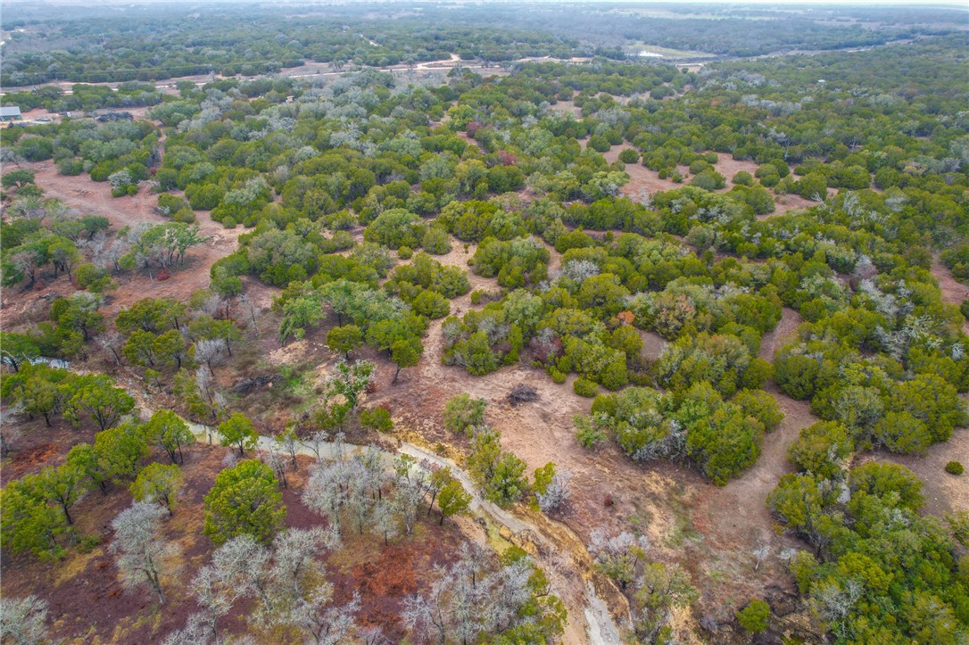 UNK Cr 421 Road, Evant, Texas image 29