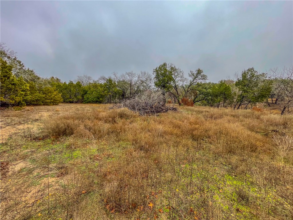 UNK Cr 421 Road, Evant, Texas image 19