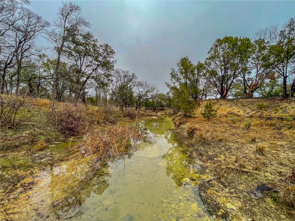 UNK Cr 421 Road, Evant, Texas image 18