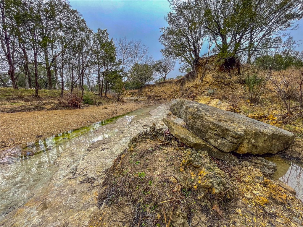 UNK Cr 421 Road, Evant, Texas image 9