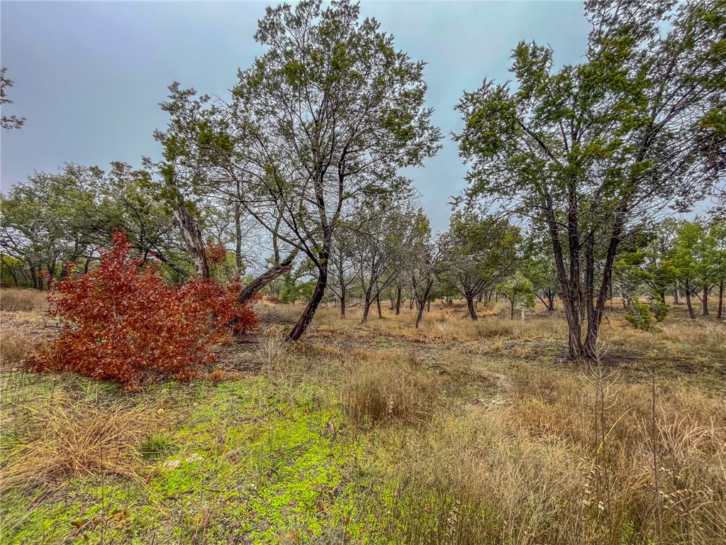 UNK Cr 421 Road, Evant, Texas image 13