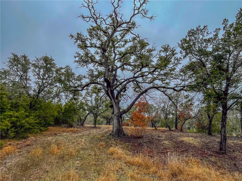 UNK Cr 421 Road, Evant, Texas image 15