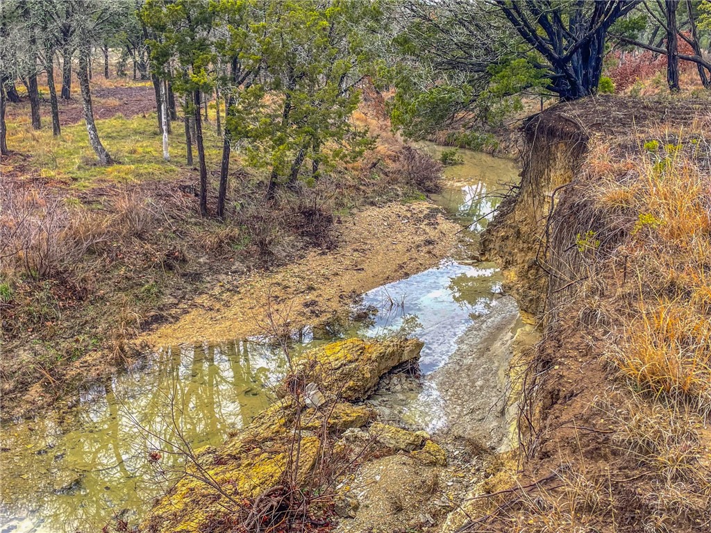 UNK Cr 421 Road, Evant, Texas image 11