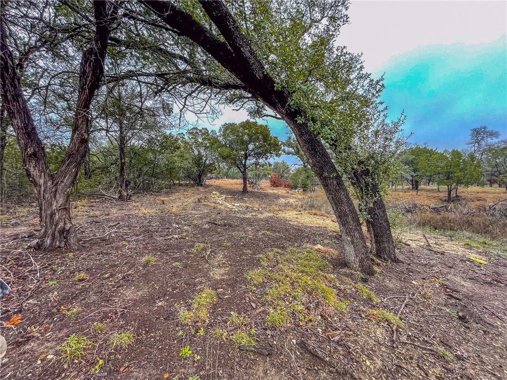 UNK Cr 421 Road, Evant, Texas image 14