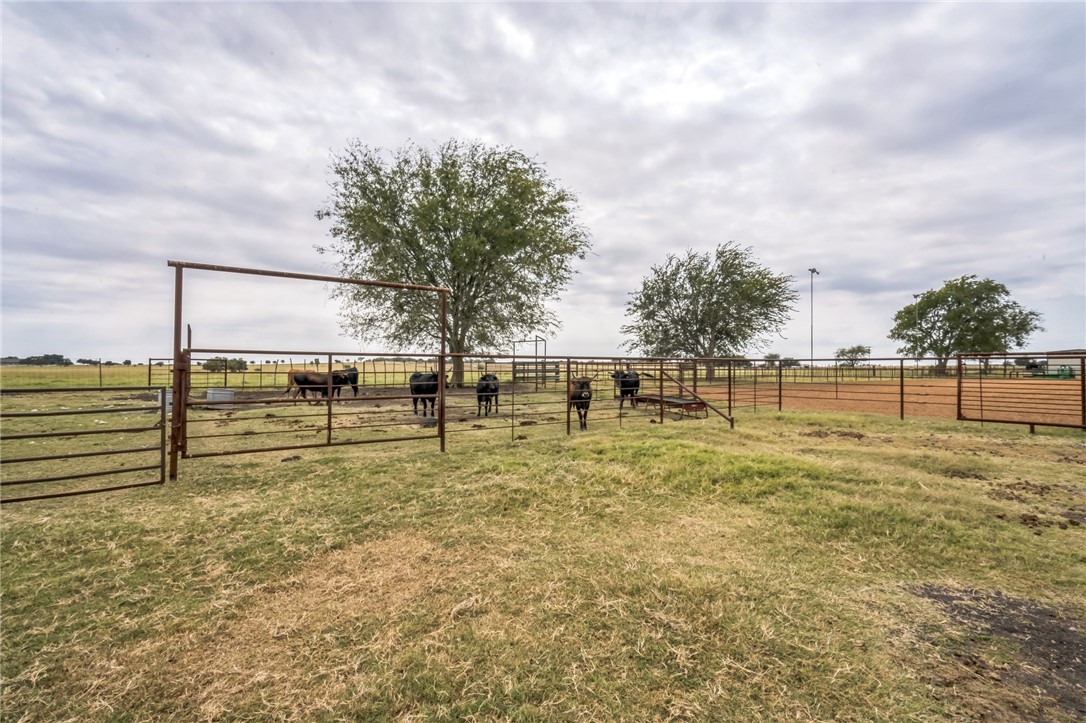 20723 Fm 2115, Salado, Texas image 34