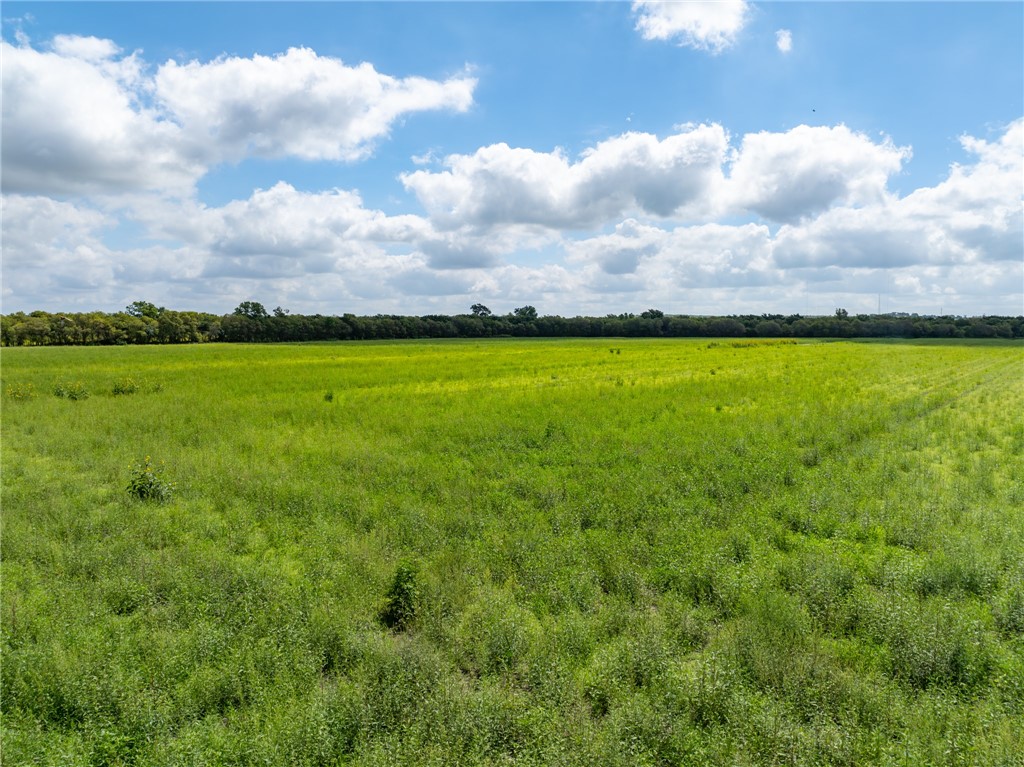 TBD Eddy-gatesville Parkway, Moody, Texas image 4