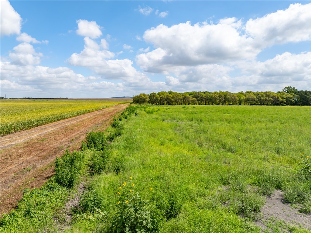 TBD Eddy-gatesville Parkway, Moody, Texas image 5