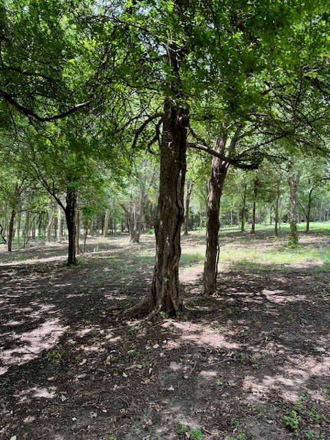2570 N Old Bruceville Road, Bruceville, Texas image 44