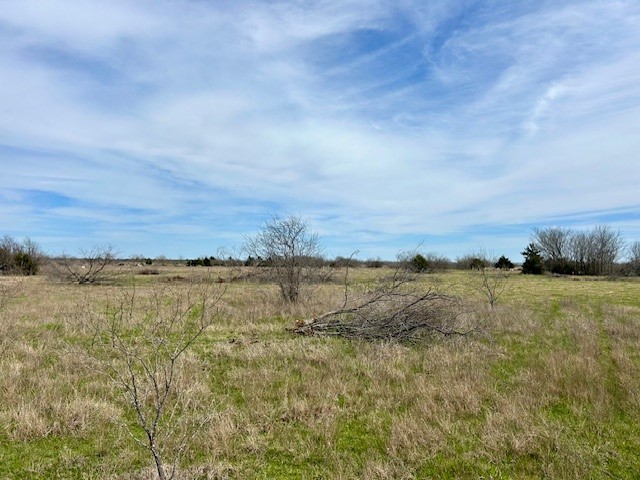 TBD SW Cr 4260, Dawson, Texas image 5