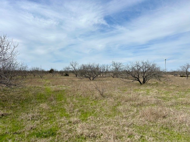 TBD SW Cr 4260, Dawson, Texas image 4