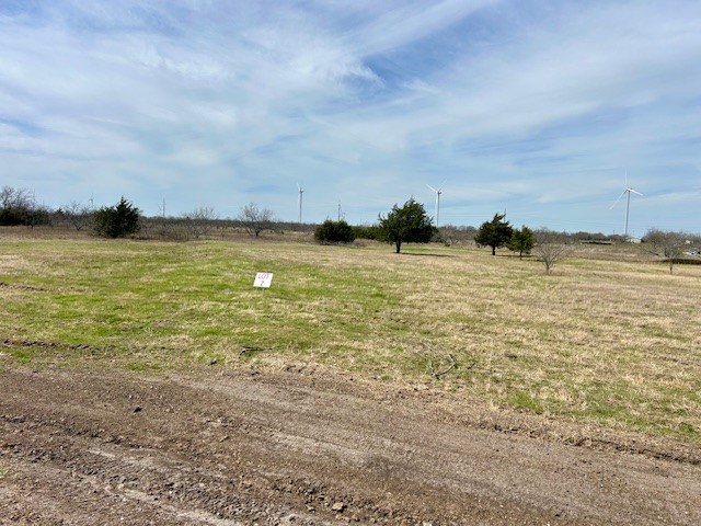 TBD SW Cr 4260, Dawson, Texas image 1