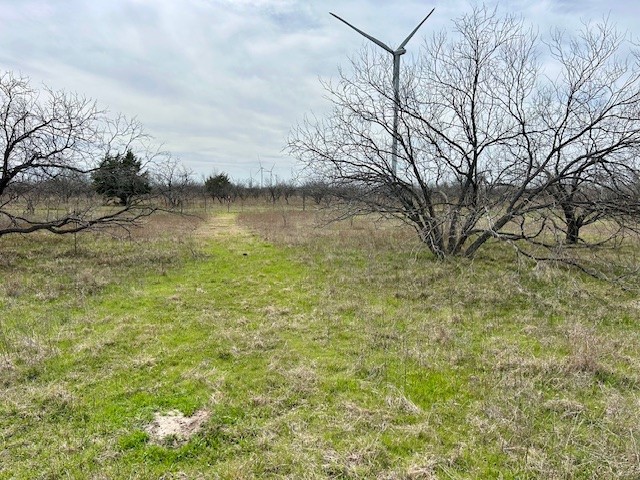 TBD SW Cr 4260, Dawson, Texas image 9