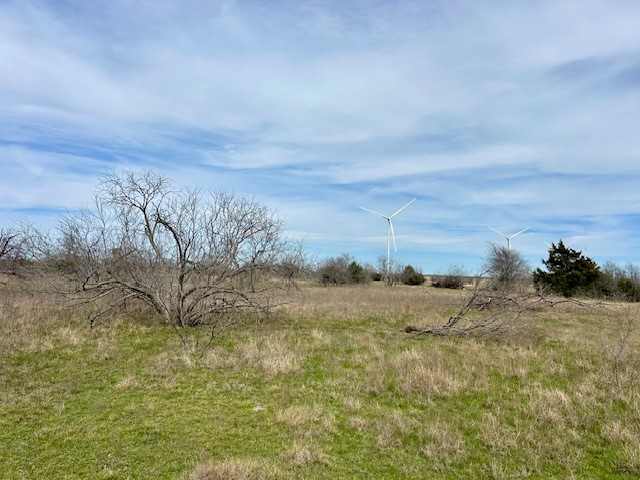 TBD SW Cr 4260, Dawson, Texas image 6