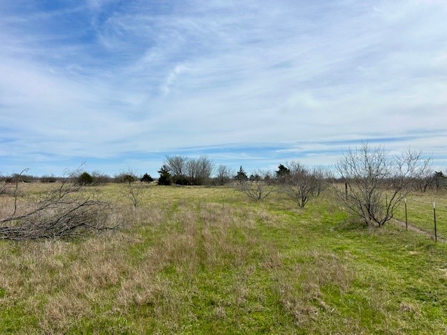 TBD SW Cr 4260, Dawson, Texas image 7