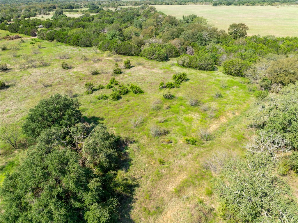 UNK Cr 102 Road, Purmela, Texas image 27