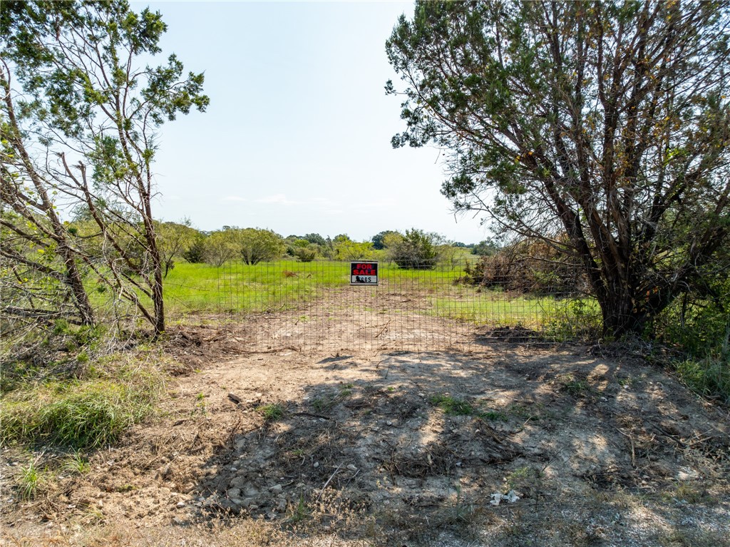 UNK Cr 102 Road, Purmela, Texas image 14