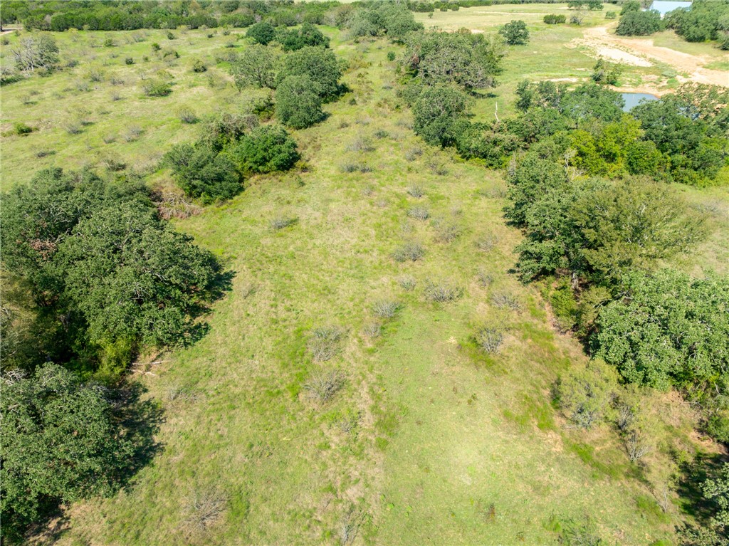 UNK Cr 102 Road, Purmela, Texas image 23