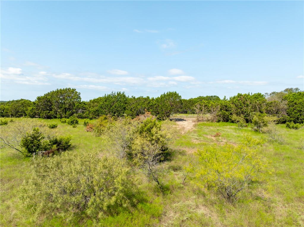 UNK Cr 102 Road, Purmela, Texas image 12