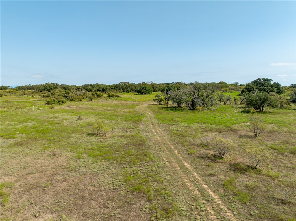 UNK Cr 102 Road, Purmela, Texas image 8