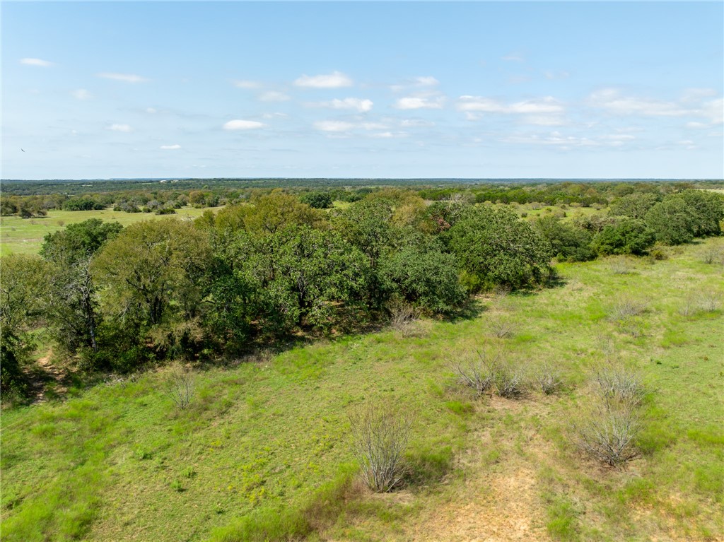 UNK Cr 102 Road, Purmela, Texas image 21