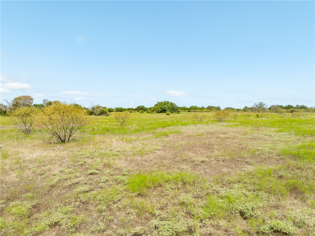 UNK Cr 102 Road, Purmela, Texas image 10