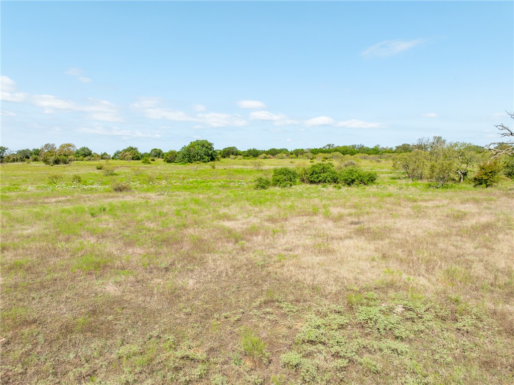 UNK Cr 102 Road, Purmela, Texas image 19