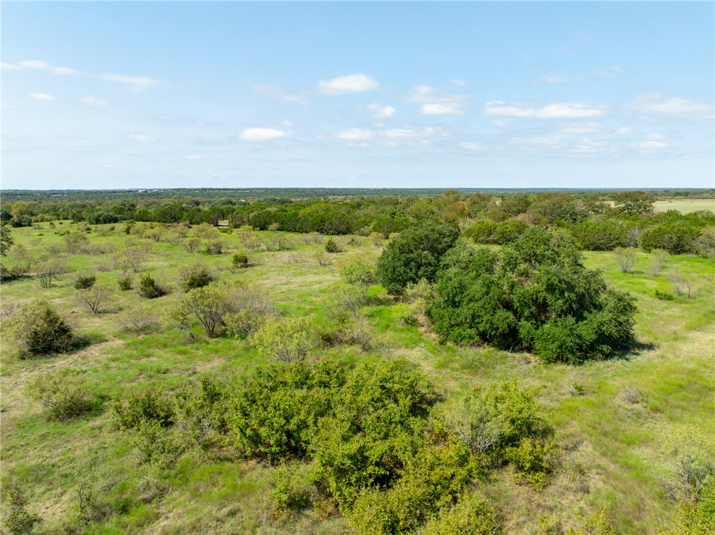 UNK Cr 102 Road, Purmela, Texas image 24