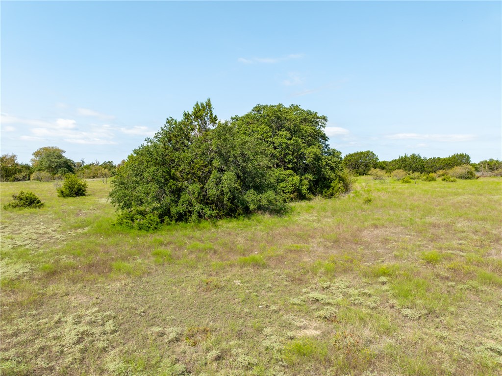 UNK Cr 102 Road, Purmela, Texas image 11