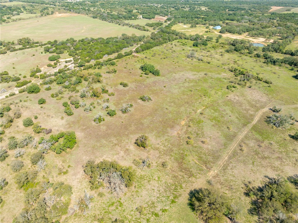 UNK Cr 102 Road, Purmela, Texas image 4