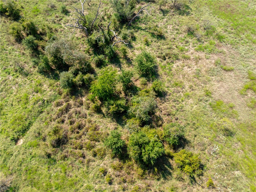 UNK Cr 102 Road, Purmela, Texas image 16