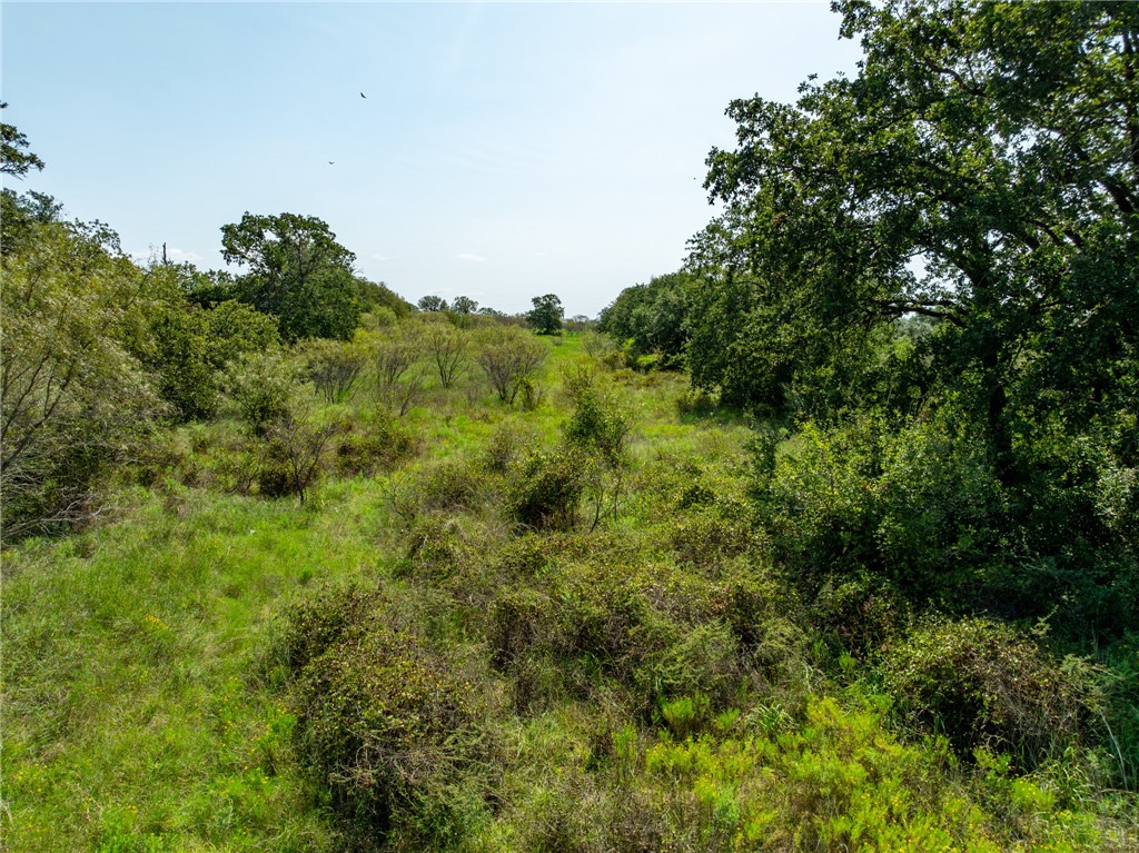 UNK Cr 102 Road, Purmela, Texas image 25