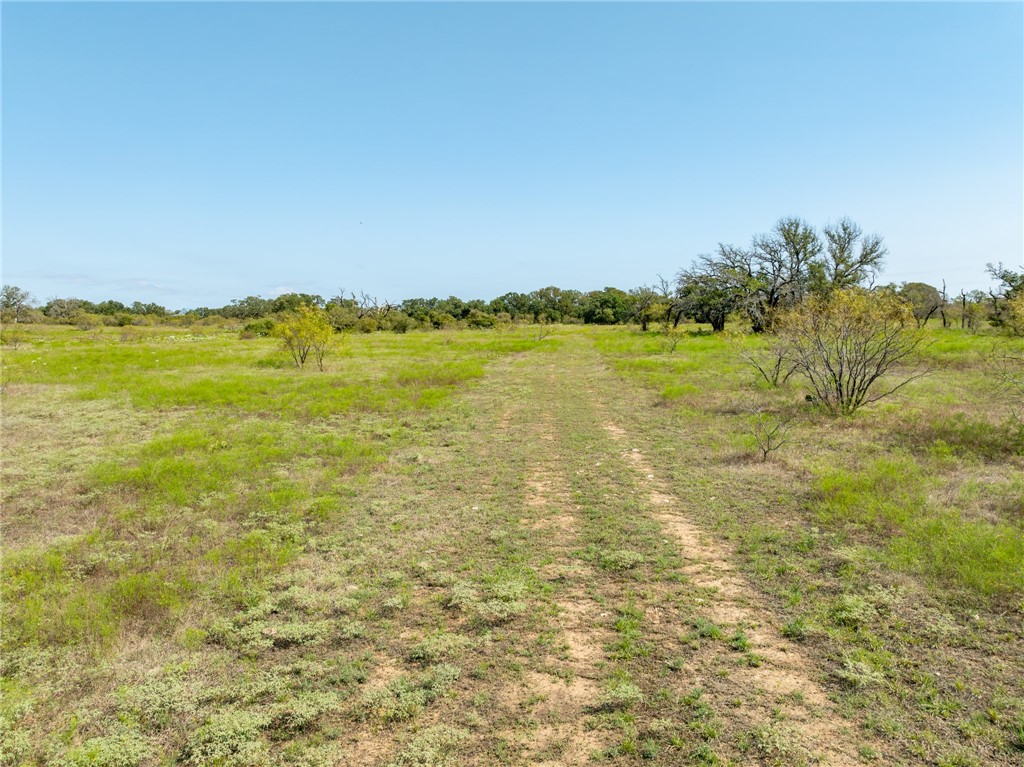 UNK Cr 102 Road, Purmela, Texas image 9