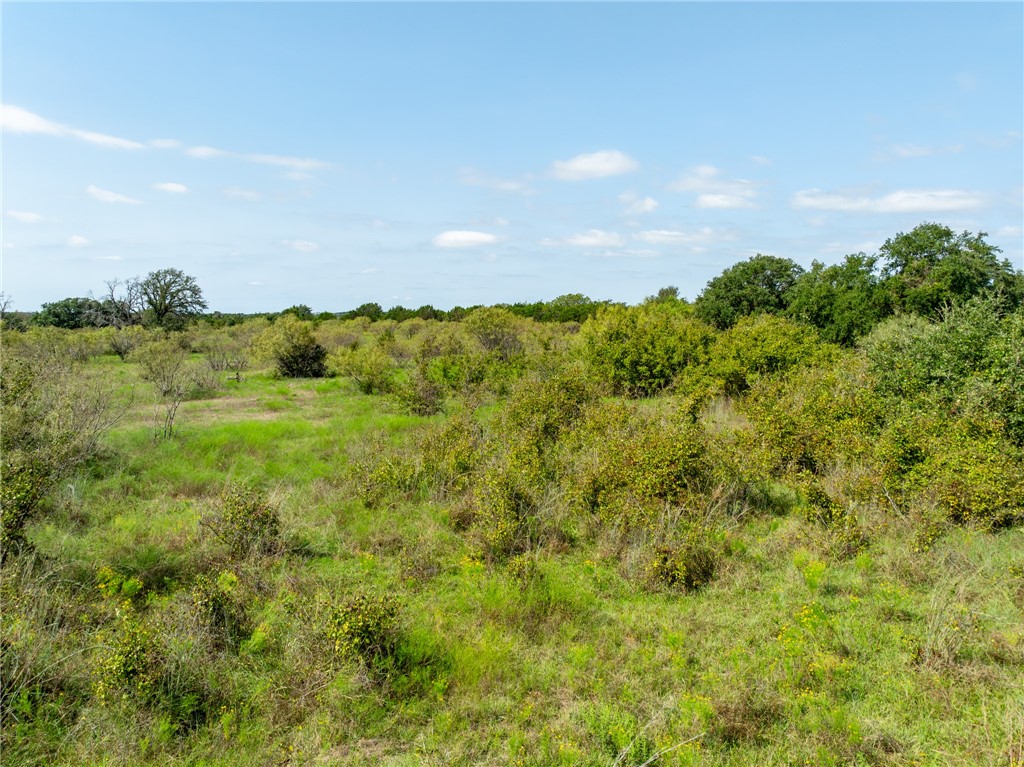 UNK Cr 102 Road, Purmela, Texas image 26