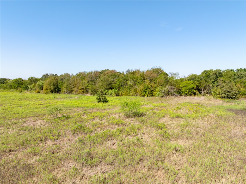 1650 Clater Powell Road, Waco, Texas image 7