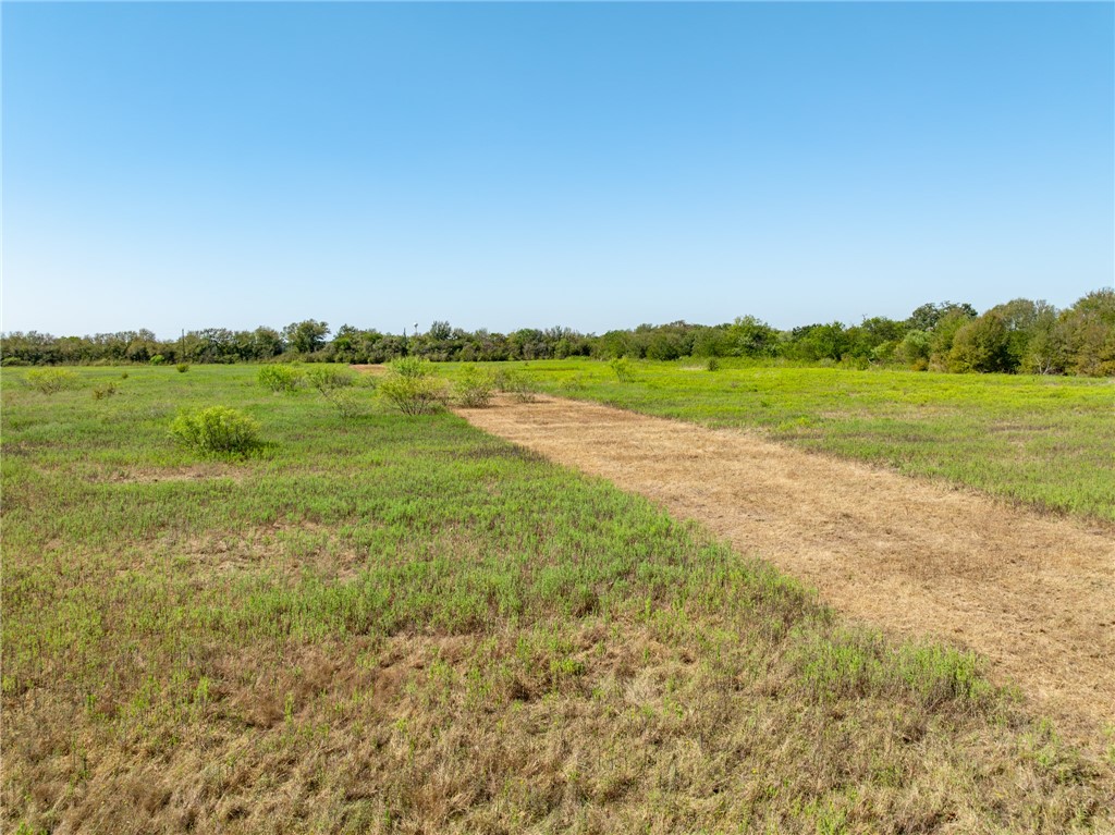 1650 Clater Powell Road, Waco, Texas image 6