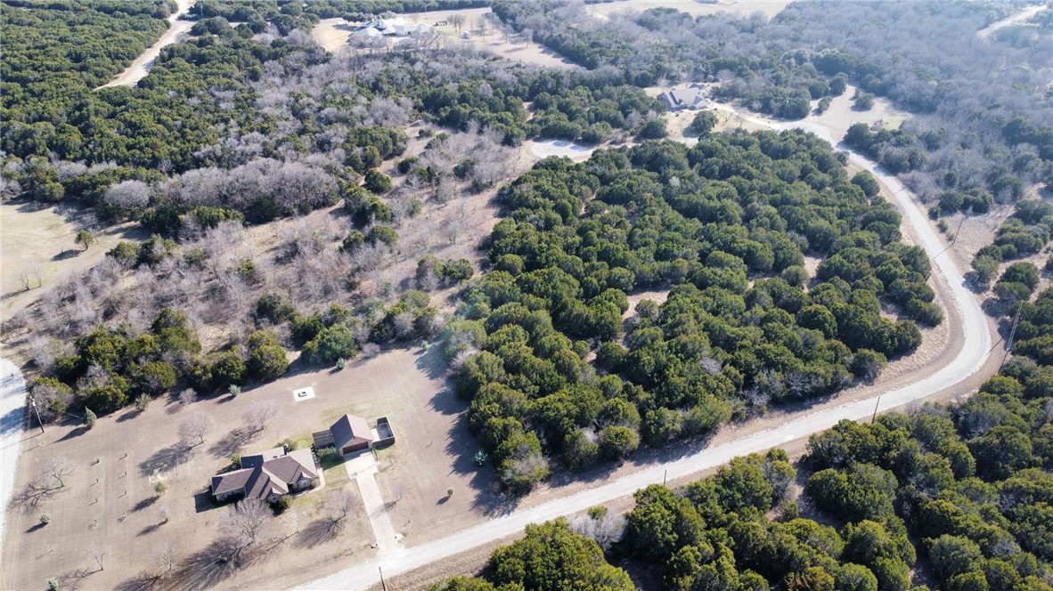 36049 Cedar View Drive, Whitney, Texas image 1