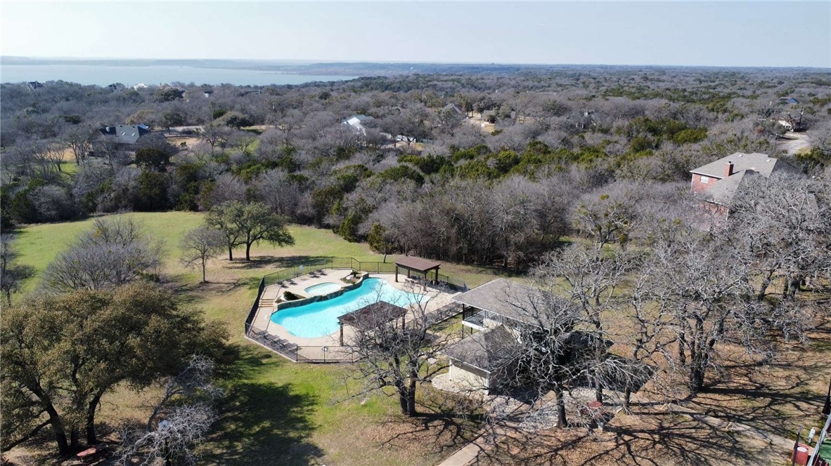 36049 Cedar View Drive, Whitney, Texas image 3