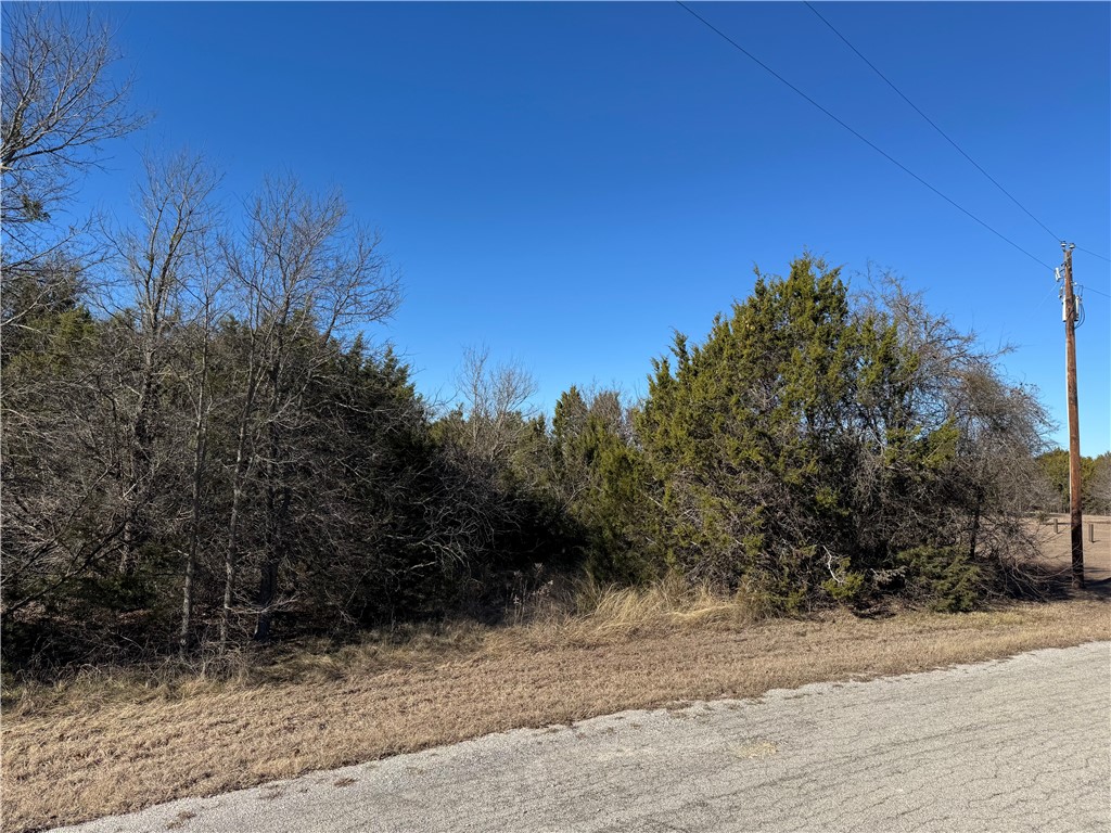 36049 Cedar View Drive, Whitney, Texas image 6