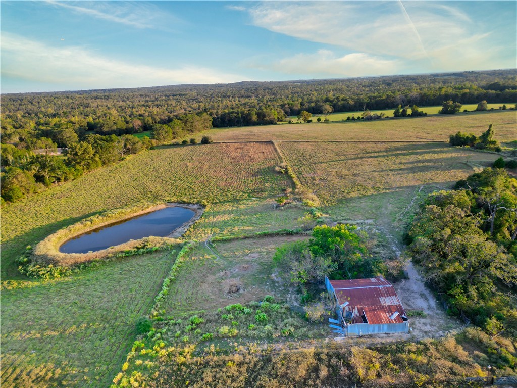 820 Fcr 381, Oakwood, Texas image 34