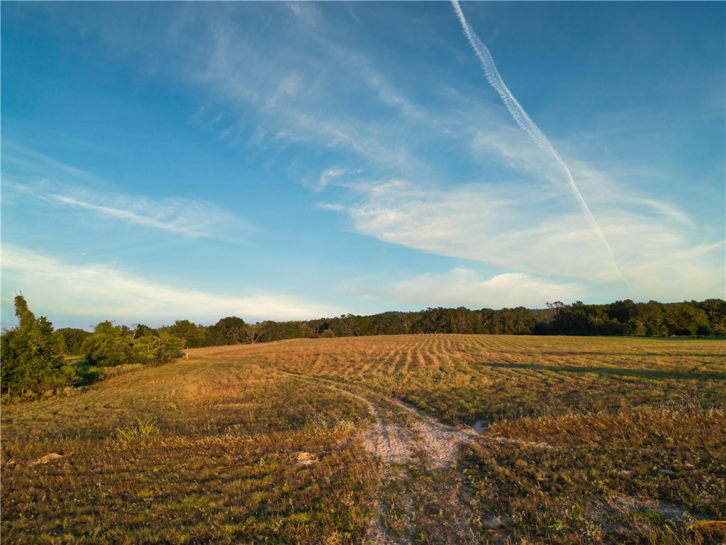 820 Fcr 381, Oakwood, Texas image 36