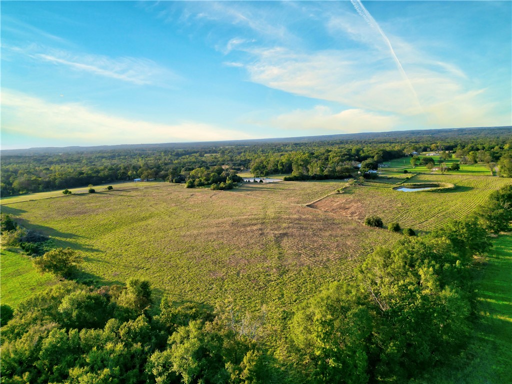 820 Fcr 381, Oakwood, Texas image 30