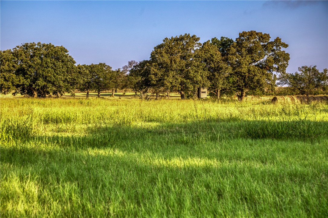 3096 Happy Swaner Lane, Axtell, Texas image 45