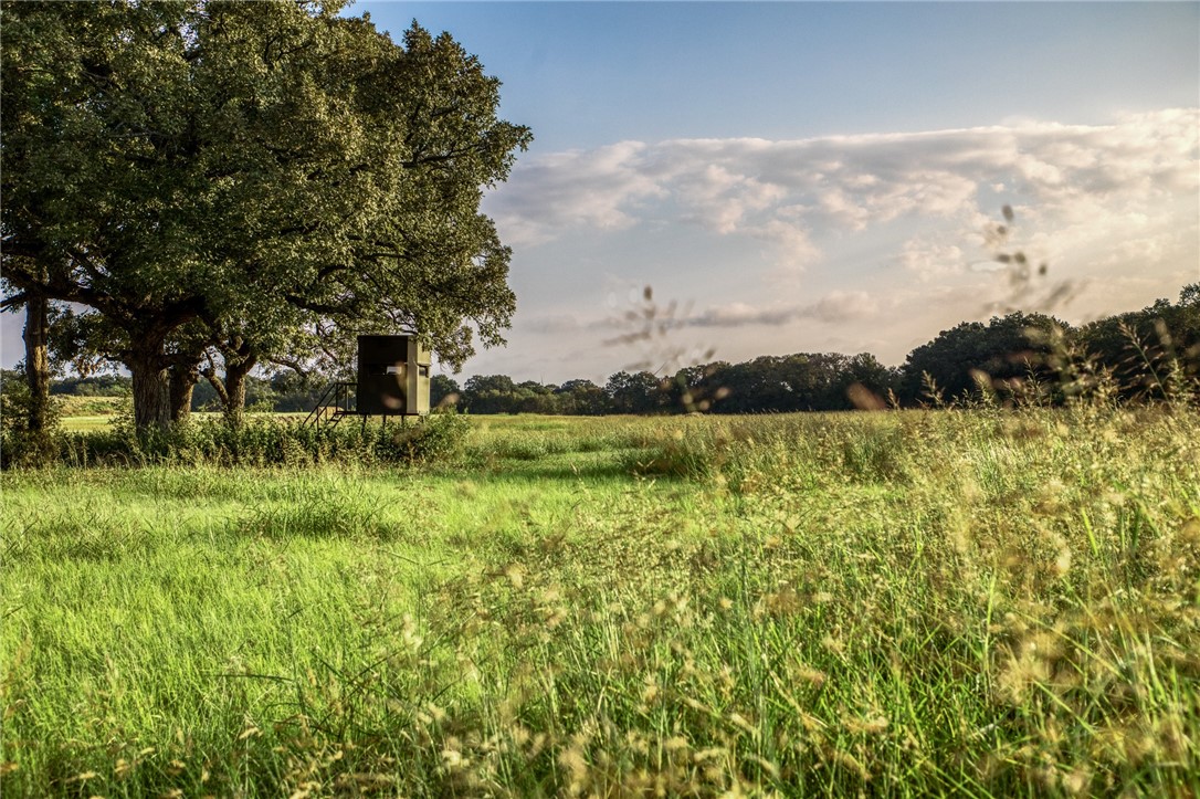 3096 Happy Swaner Lane, Axtell, Texas image 39