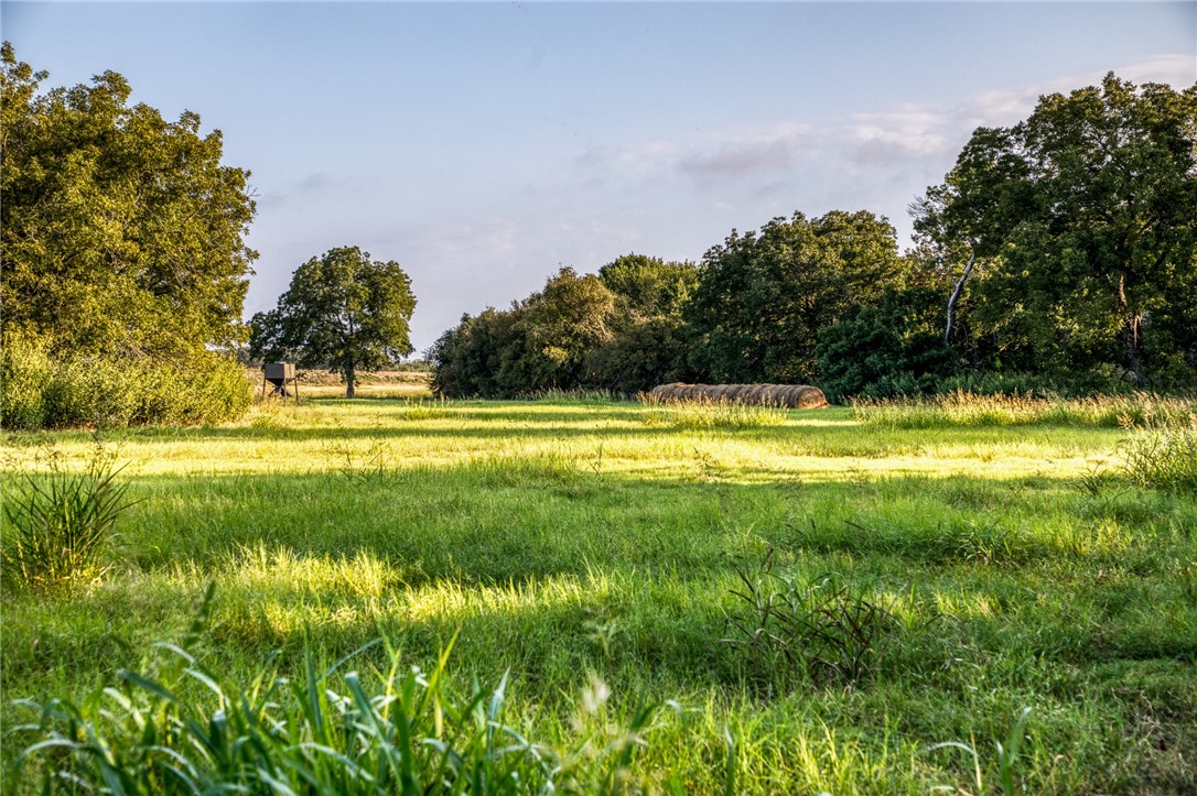 3096 Happy Swaner Lane, Axtell, Texas image 48