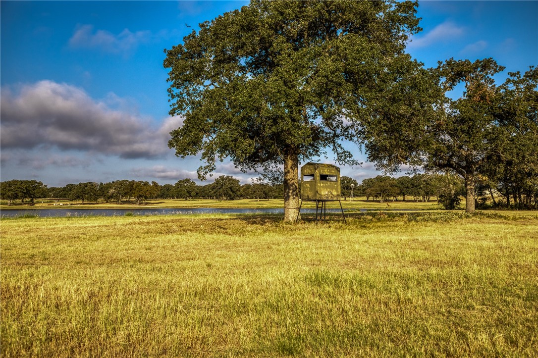 3096 Happy Swaner Lane, Axtell, Texas image 47